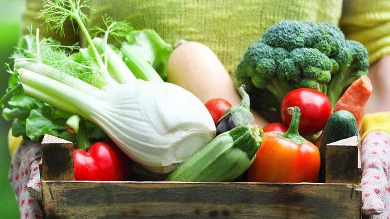 Is it really healthier to be a vegetarian