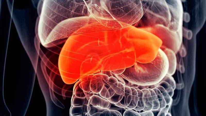 Fatty liver is not scary the key is how to improve it